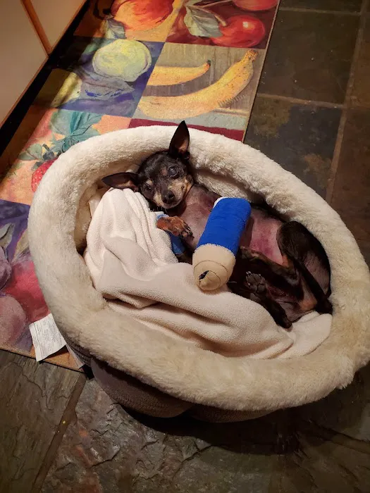 Gig Harbor Veterinary Hospital Picture 9