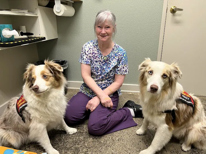 PetZen Animal Wellness Center Picture 1