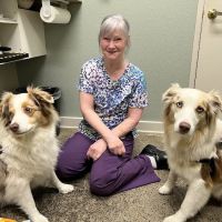 PetZen Animal Wellness Center ico