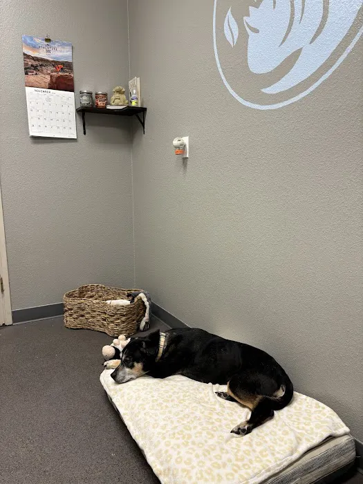 PetZen Animal Wellness Center Picture 3
