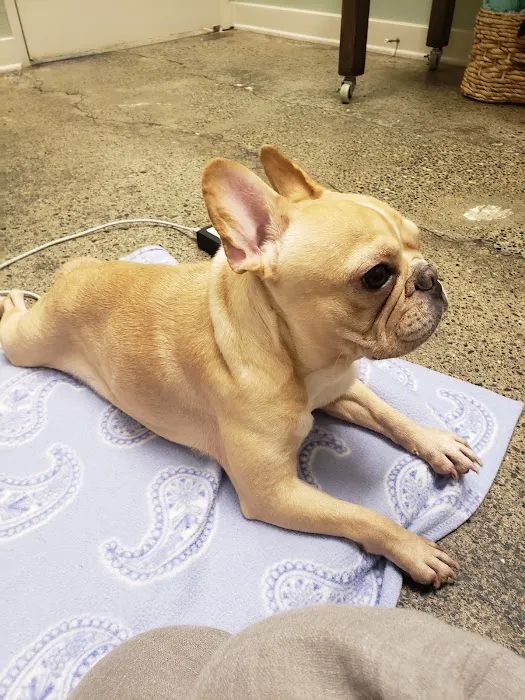 PetZen Animal Wellness Center Picture 2