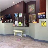 Evergreen Animal Hospital ico