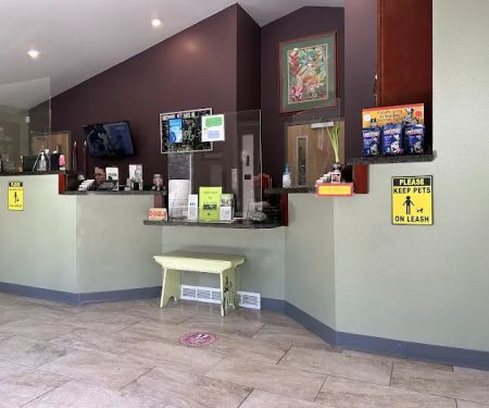 Evergreen Animal Hospital