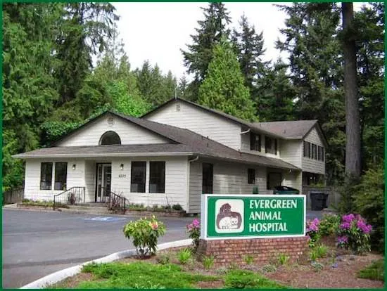 Evergreen Animal Hospital Picture 6