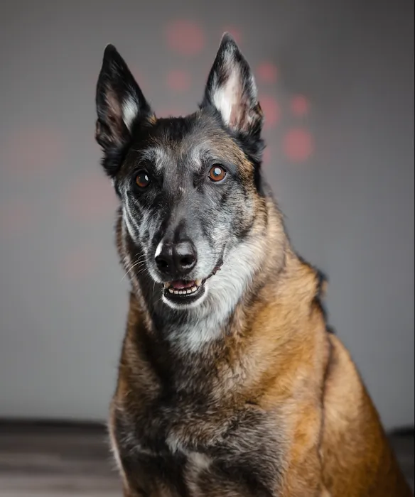 Evergreen Animal Hospital Picture 7