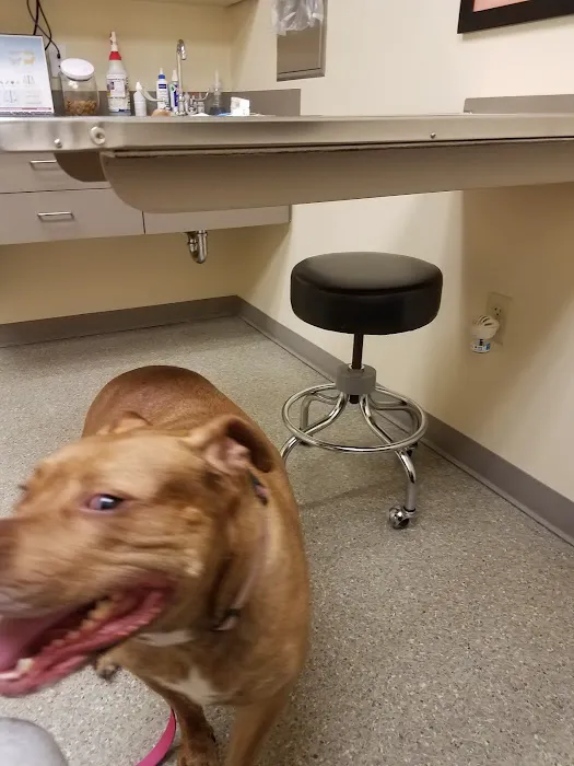 Chambers Creek Veterinary Hospital Picture 4