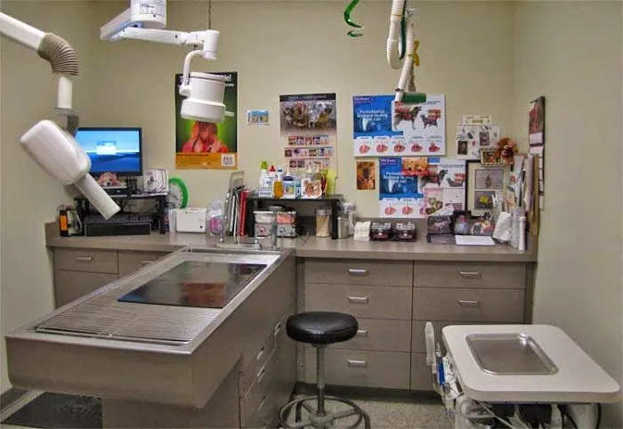 Chambers Creek Veterinary Hospital Picture 9