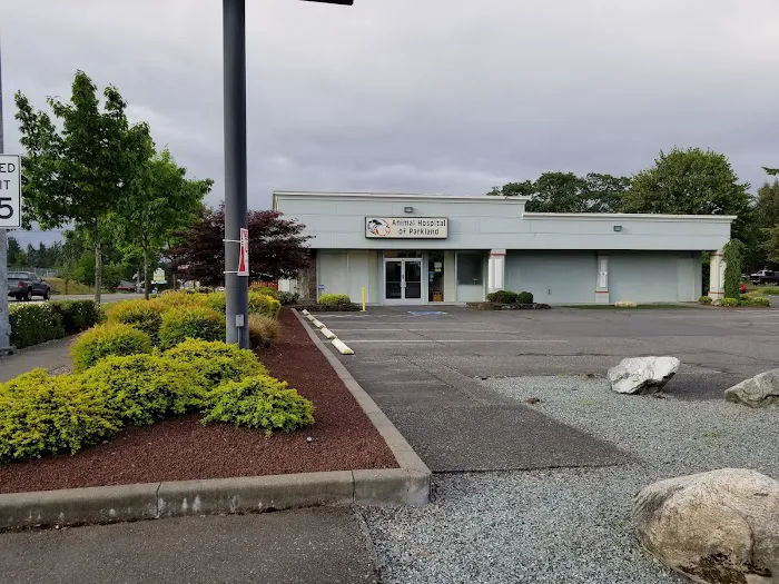 Animal Hospital of Parkland Picture 2