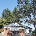 Lakewood Veterinary Hospital