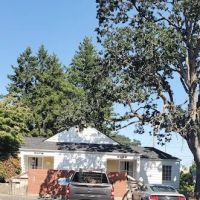 Lakewood Veterinary Hospital ico