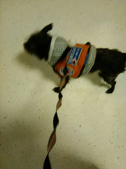 Banfield Pet Hospital Picture 4