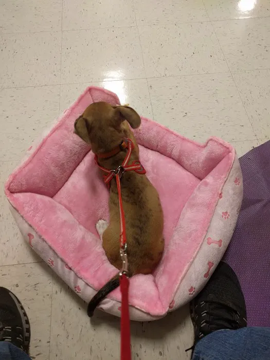 Banfield Pet Hospital Picture 8