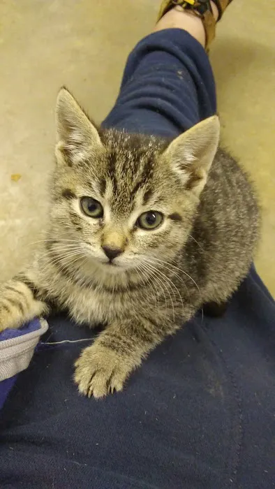Banfield Pet Hospital Picture 7