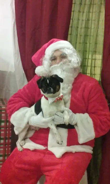 Banfield Pet Hospital Picture 10