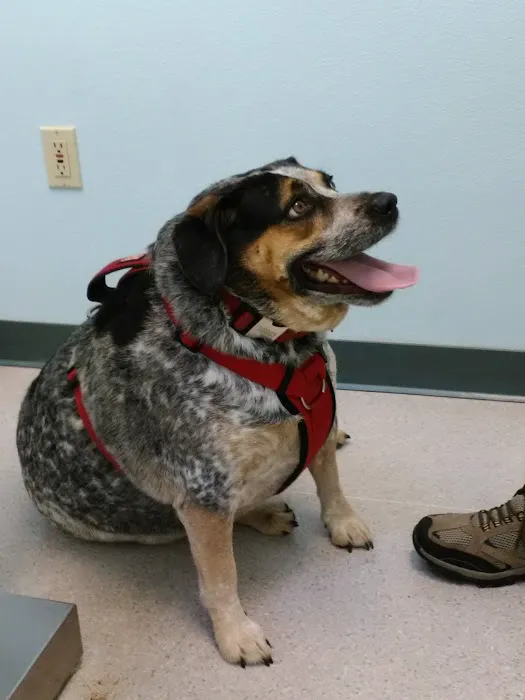 VCA Parkway Animal Hospital Picture 4
