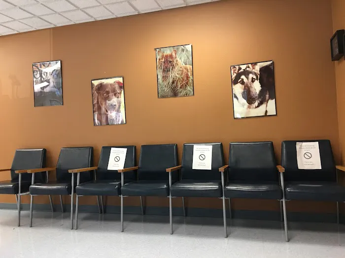 Veterinary Treatment Facility Picture 5