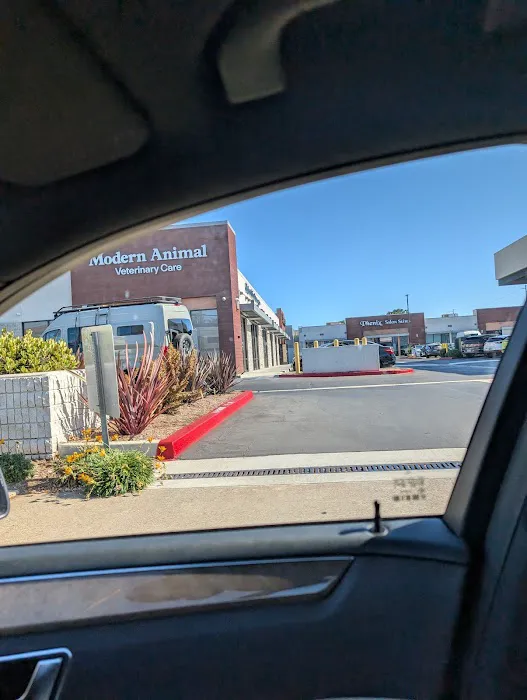 Modern Animal Veterinary Care Picture 1