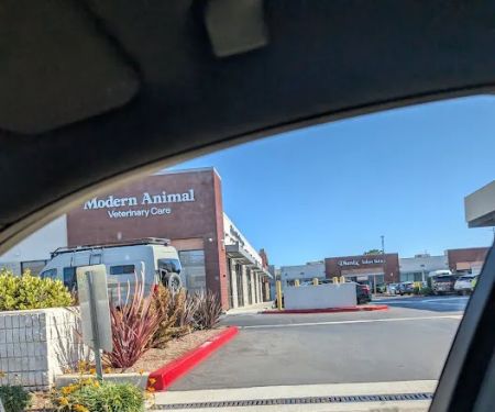 Modern Animal Veterinary Care