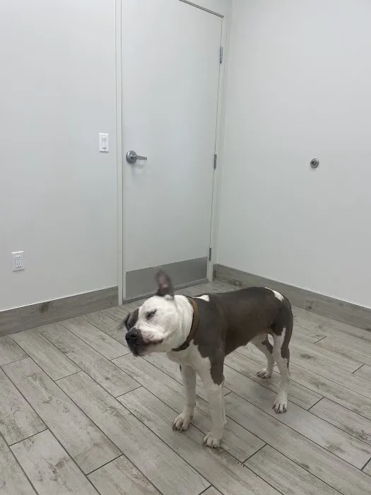 Hope Veterinary Care Picture 8