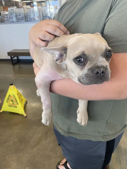 Vetco Total Care Animal Hospital Picture 1