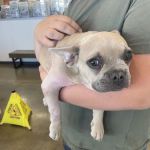 Vetco Total Care Animal Hospital
