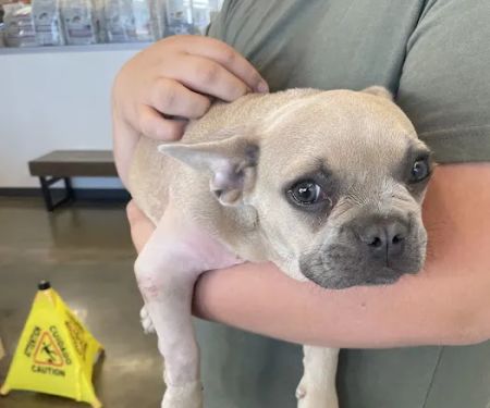 Vetco Total Care Animal Hospital