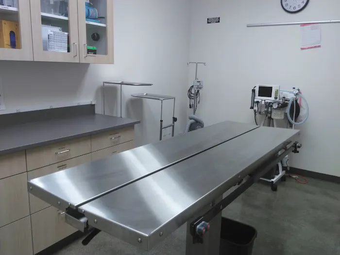 Vetco Total Care Animal Hospital Picture 4