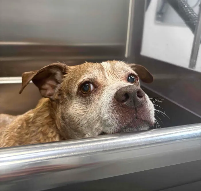 Vetco Total Care Animal Hospital Picture 7