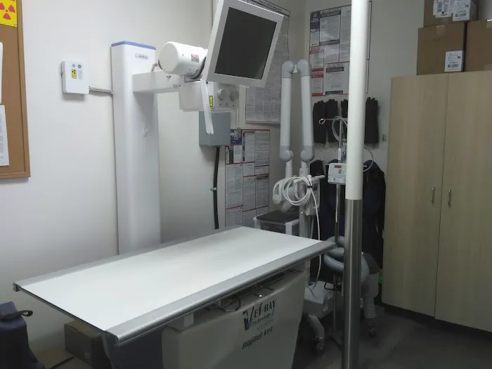 Vetco Total Care Animal Hospital Picture 9