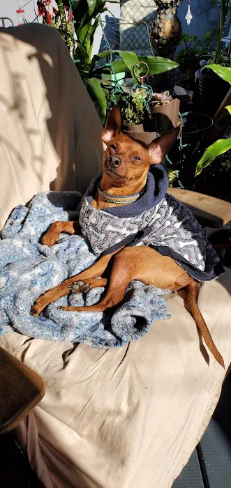 Family Animal Hospital Picture 7