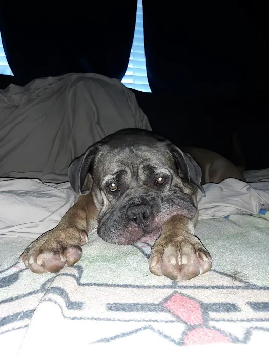Family Animal Hospital Picture 9