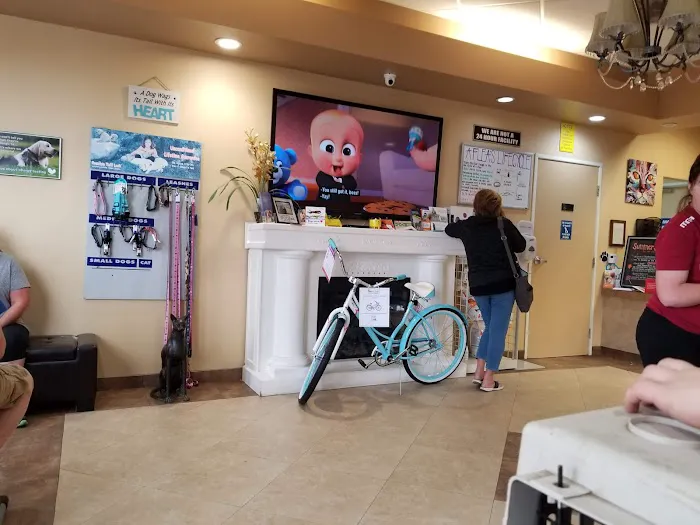 AAA Animal Hospital Picture 1