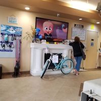 AAA Animal Hospital ico