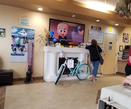 AAA Animal Hospital