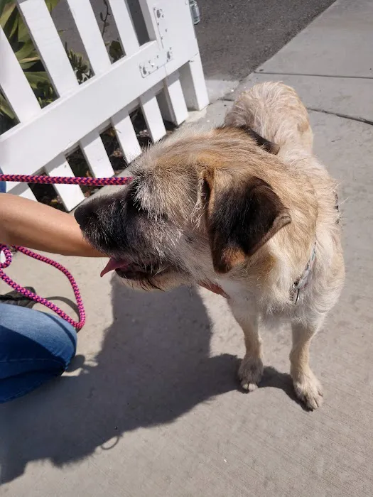 AAA Animal Hospital Picture 9