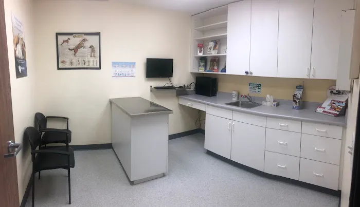 Animal Medical Center of Orange Picture 5