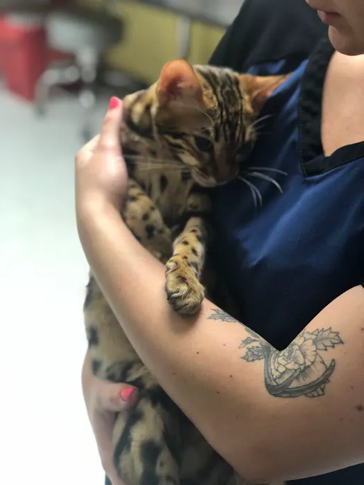 Animal Medical Center of Orange Picture 7