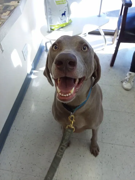 Animal Medical Center of Orange Picture 10