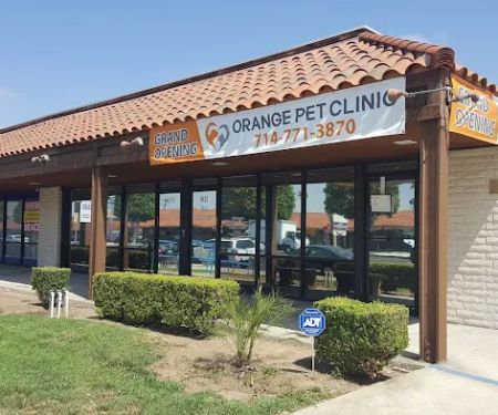 Orange Pet Clinic