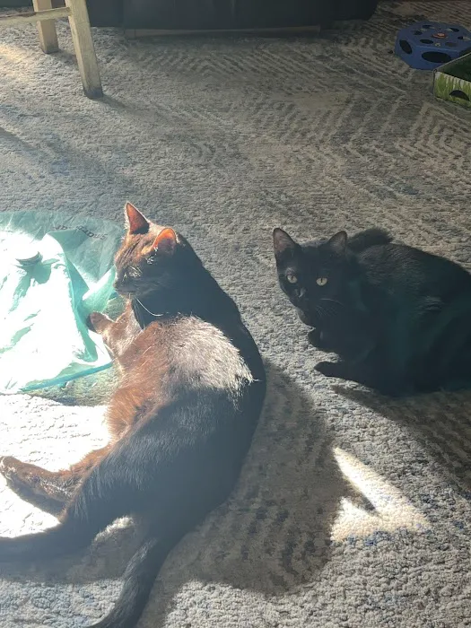 Orange Pet Clinic Picture 4