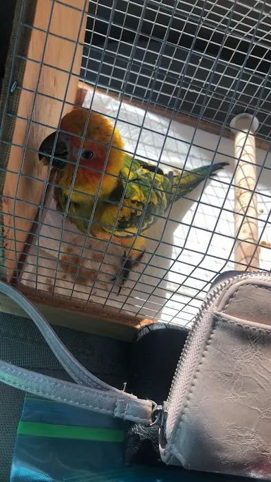 Bird Clinic Picture 1