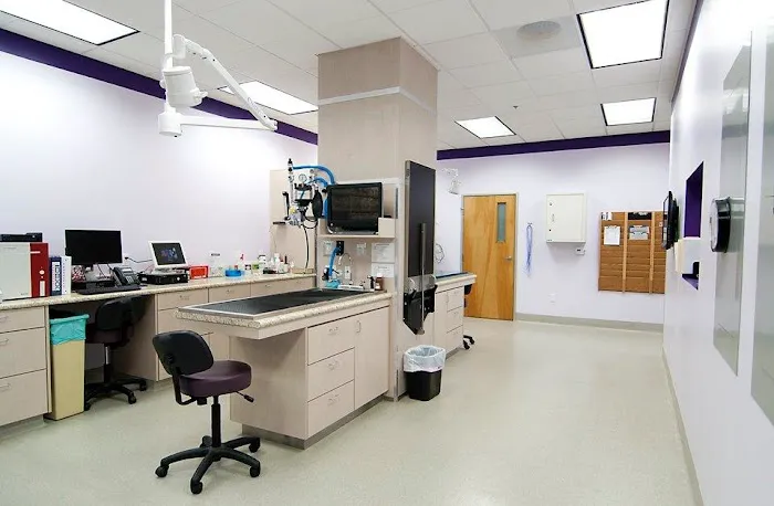 OC Veterinary Medical Center Picture 4
