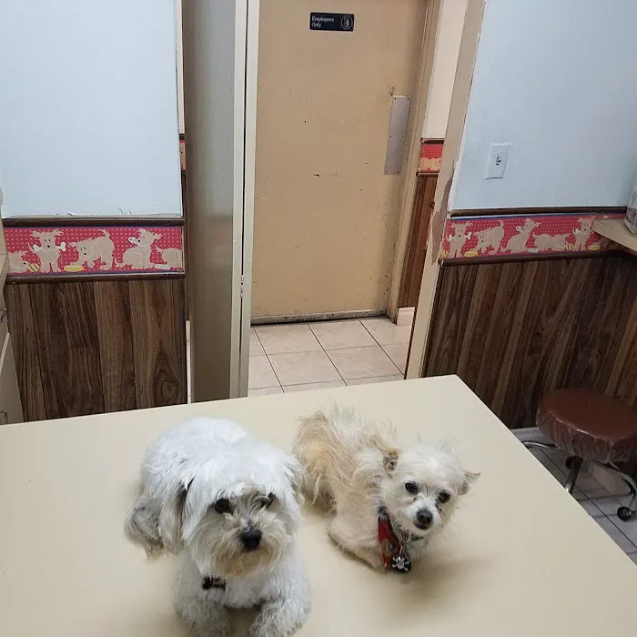 Orange-Tustin Animal Hospital Picture 2