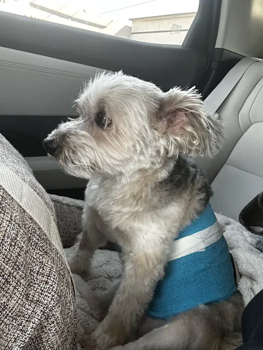 Orange-Tustin Animal Hospital Picture 4