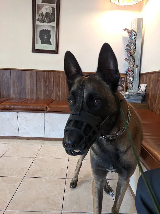 Orange-Tustin Animal Hospital Picture 8