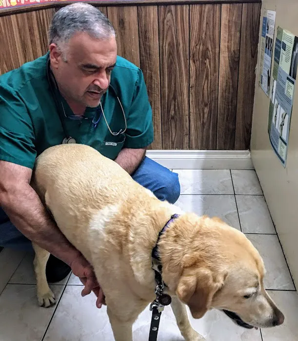 Orange-Tustin Animal Hospital Picture 7