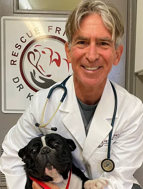 Vet4Bulldog Picture 3