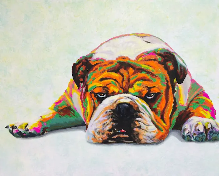 Vet4Bulldog Picture 10