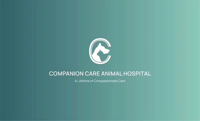 Companion Care Animal Hospital Picture 1