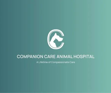 Companion Care Animal Hospital